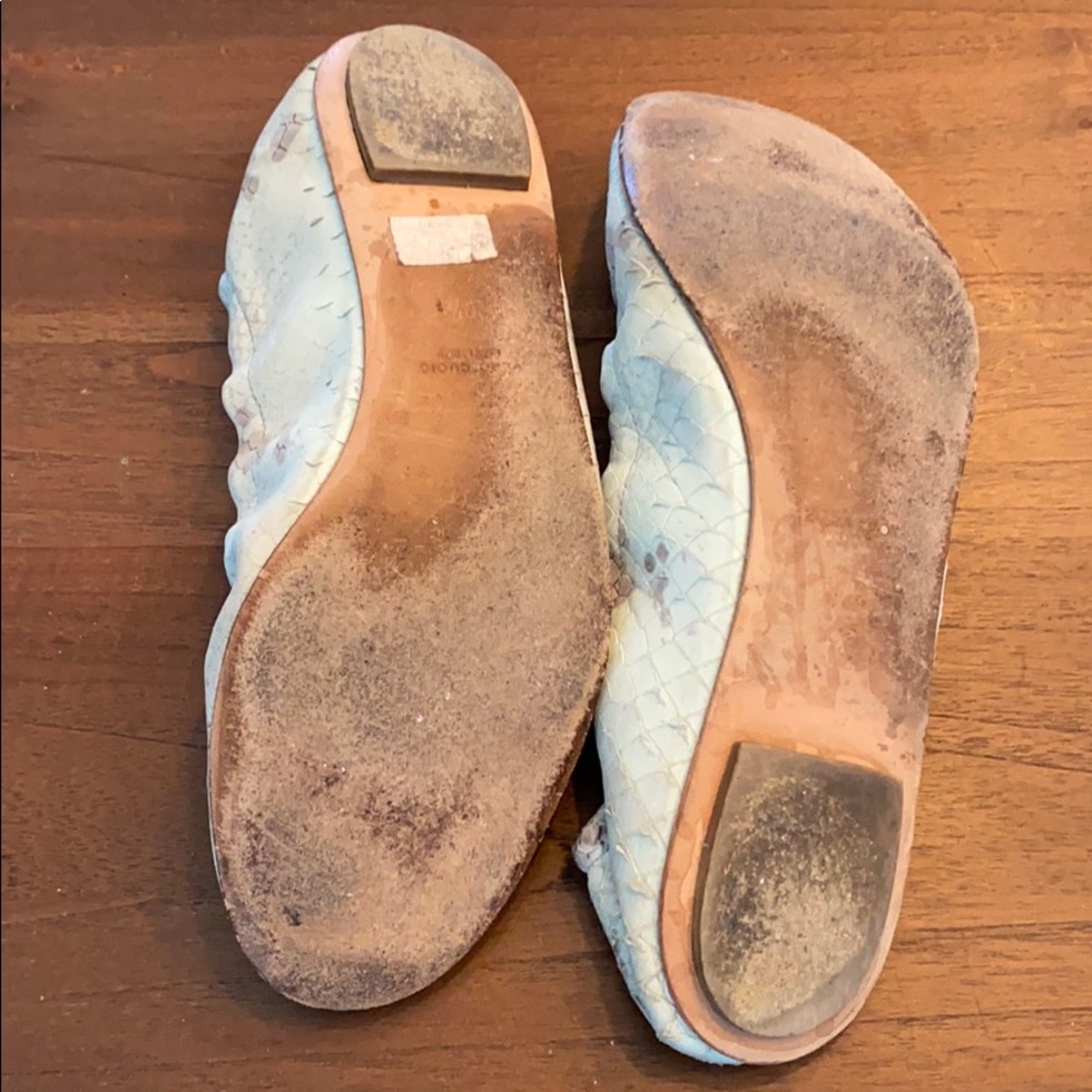 Giuseppe Zanotti Leather Animal Print Ballet flats 🥿 - Picture 3 of 6